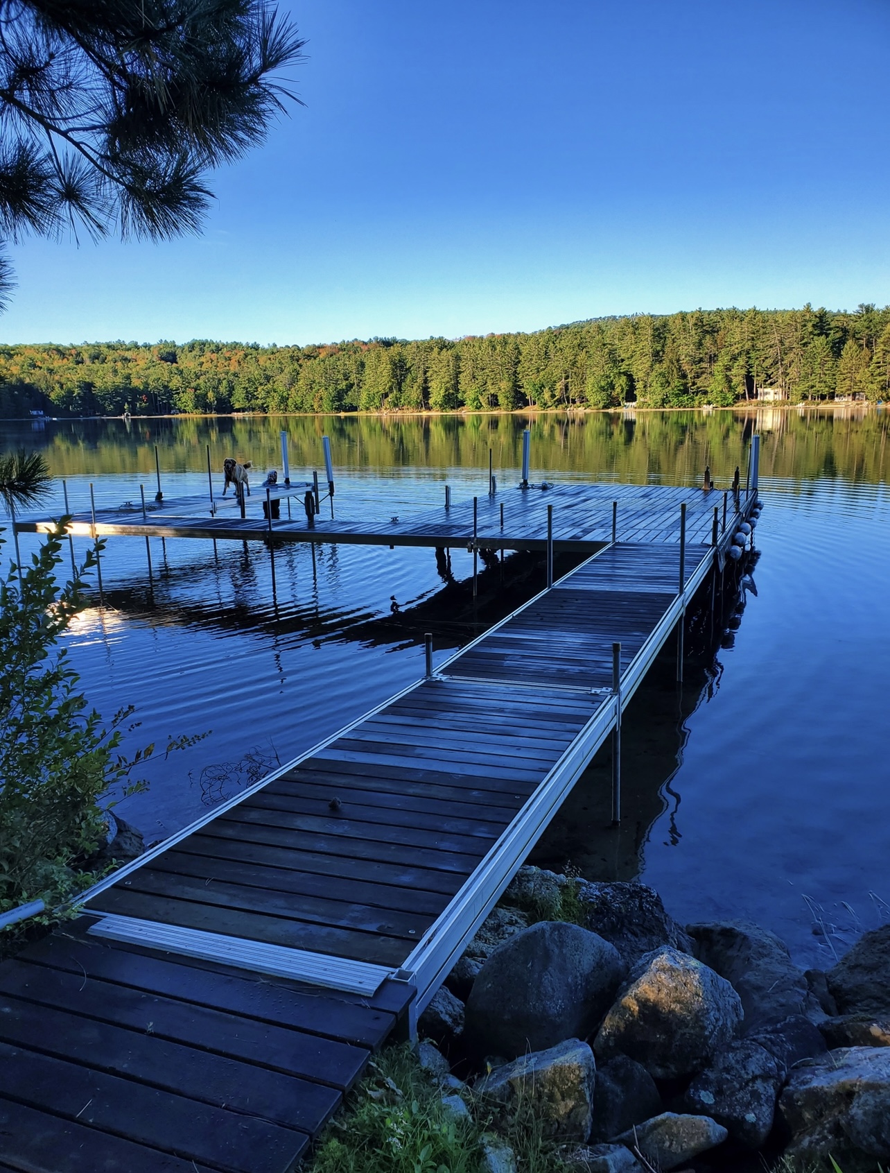 western red cedar wood boat floating dock
