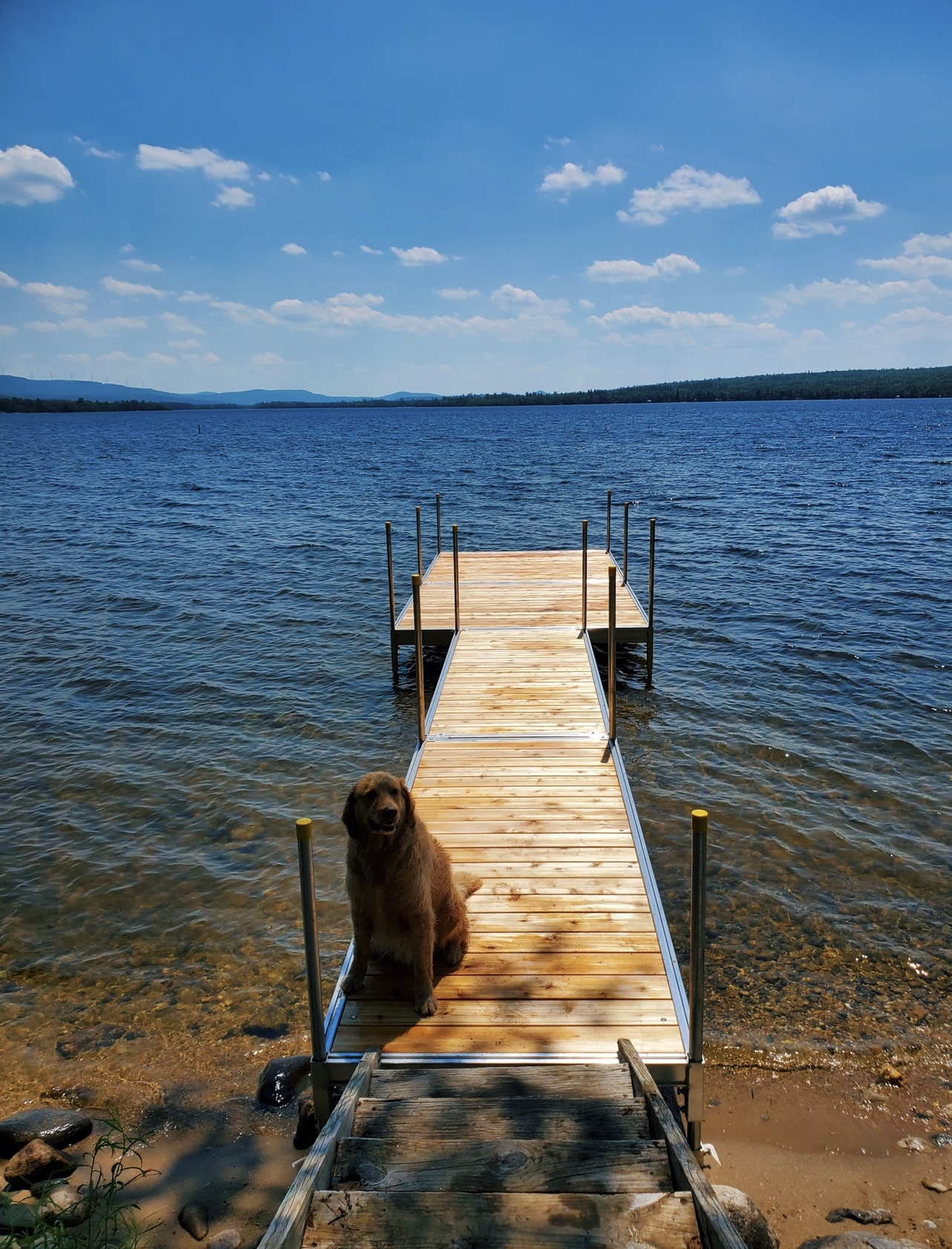 western red cedar wood boat floating dock