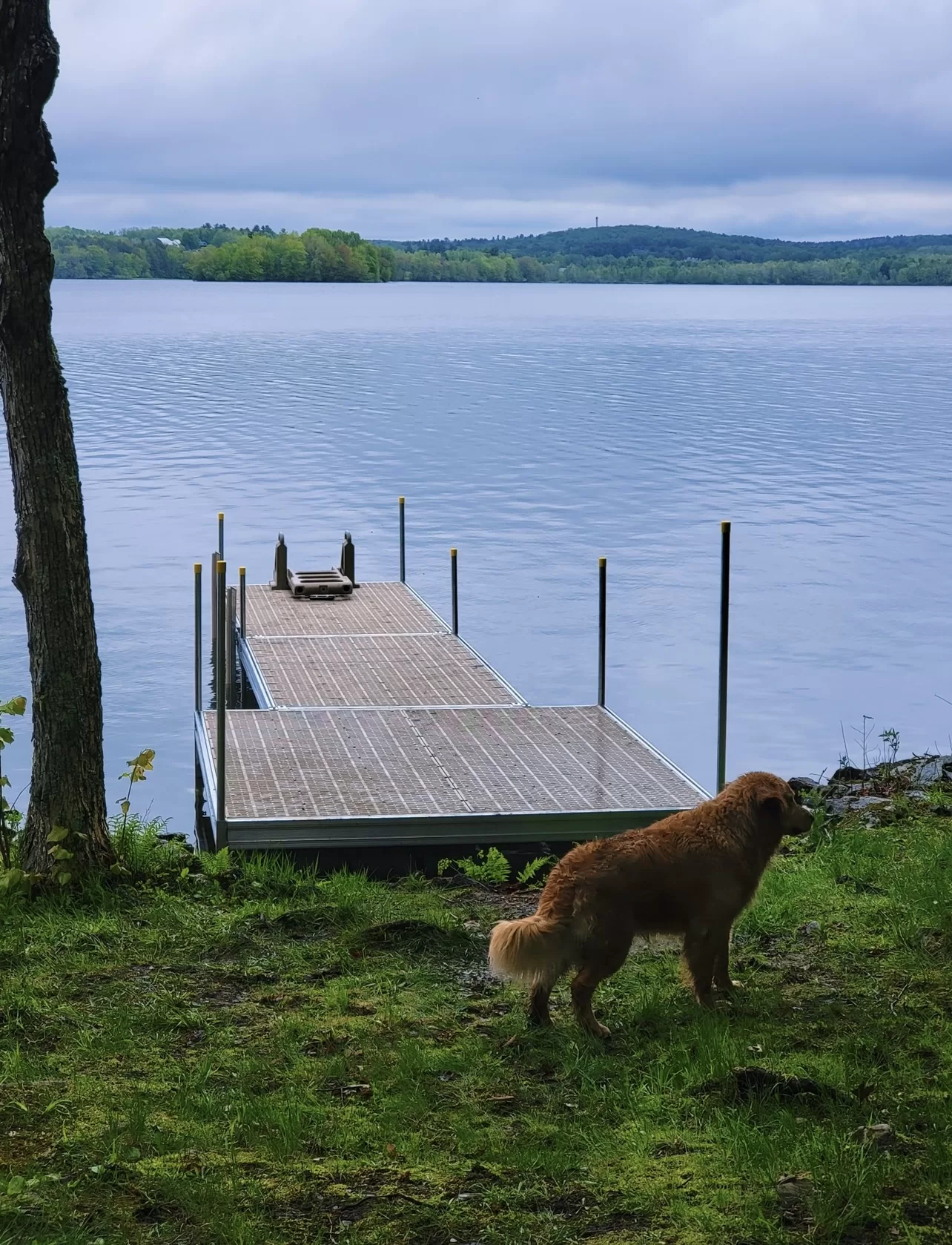 heavy-duty aluminum frame thruflow floating dock